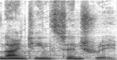 Spectrogram of a person saying 